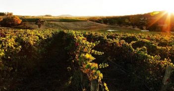 SA Winery Dishing Up Amazing Vinos For Pinot Palooza